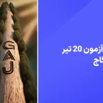دانلود سوالات آزمون گاج 20 تیر 1404 پاسخنامه تشریحی سایت امتحان نهایی